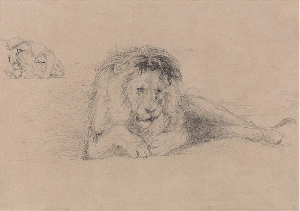 Studio di un leone - Yale Center for British Art